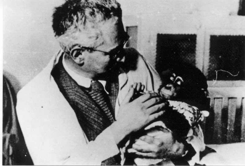 ����� � ��������