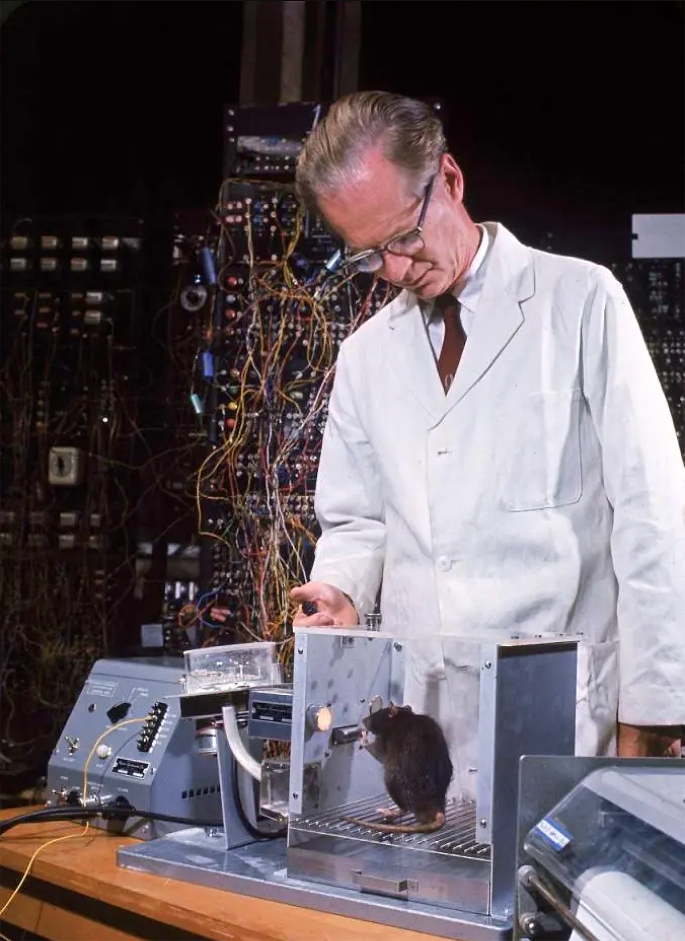 �. ������� � ����������� �������� ������������ � ������ ��������