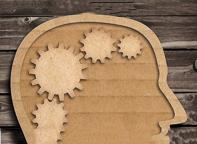 ������ ��������