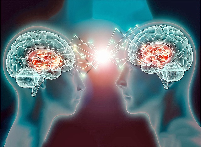 �������� �����