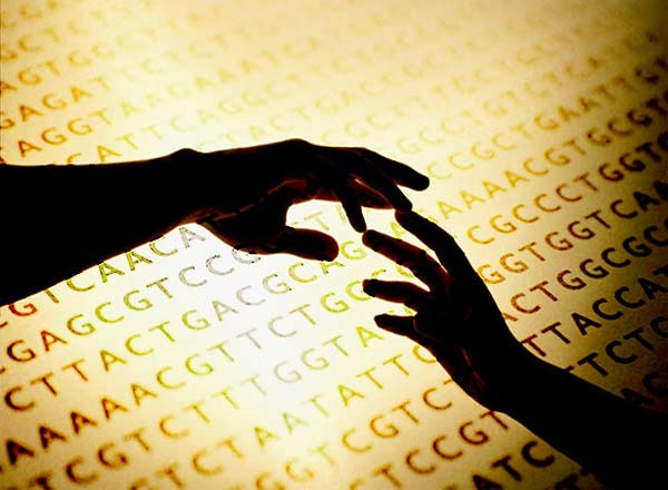 ���� ���� � ������