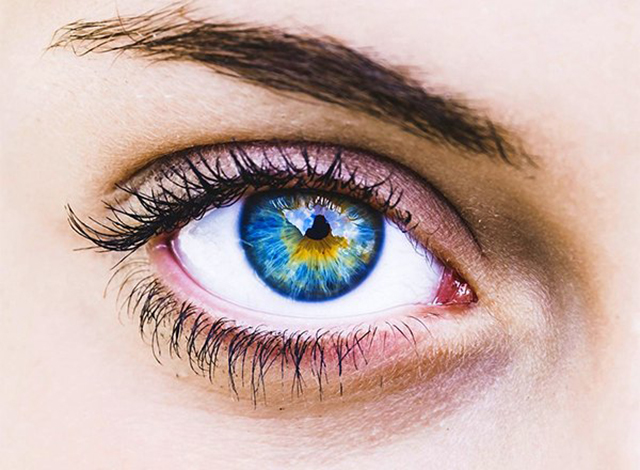 ������ �������� ����