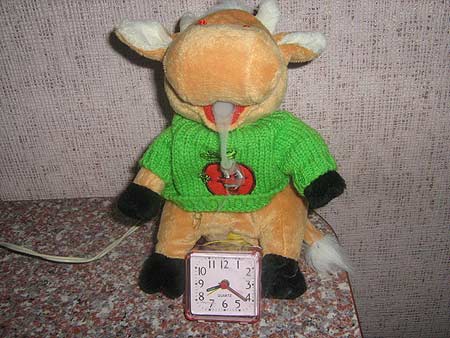 �������������������� �����������