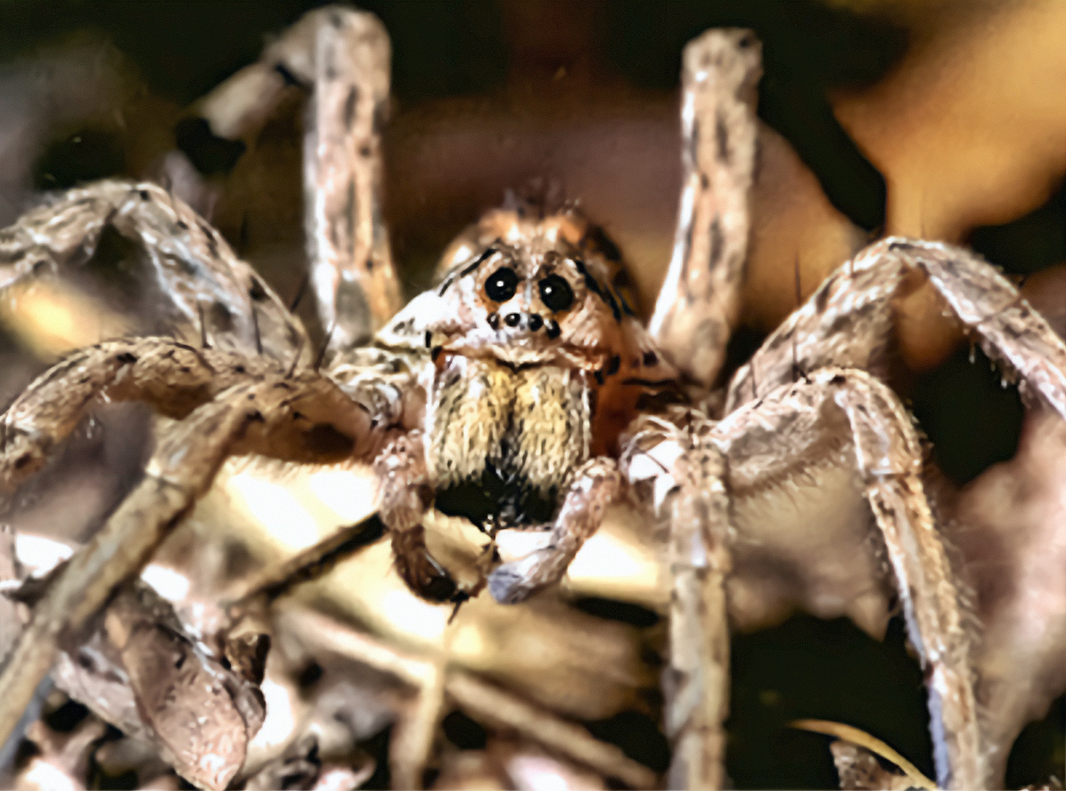 ����������� - ���������� ����� ������