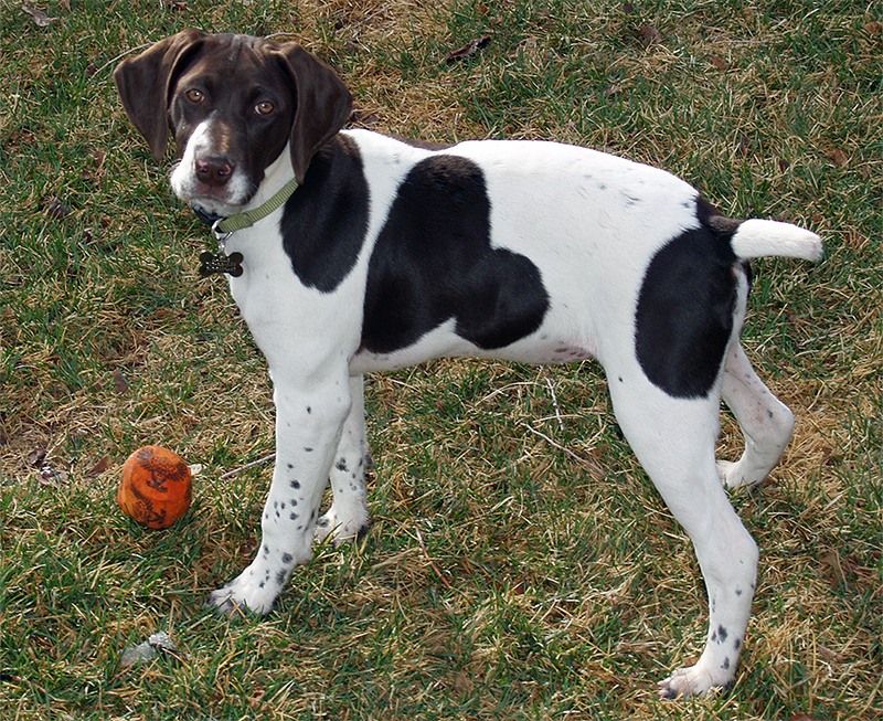 ������������ �������� ��������� � ������