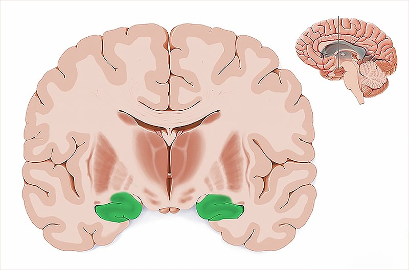 ������������� � ���������������� ������� � ����������