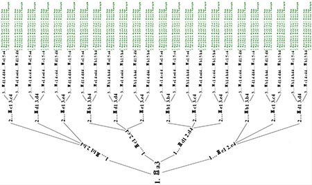 �������