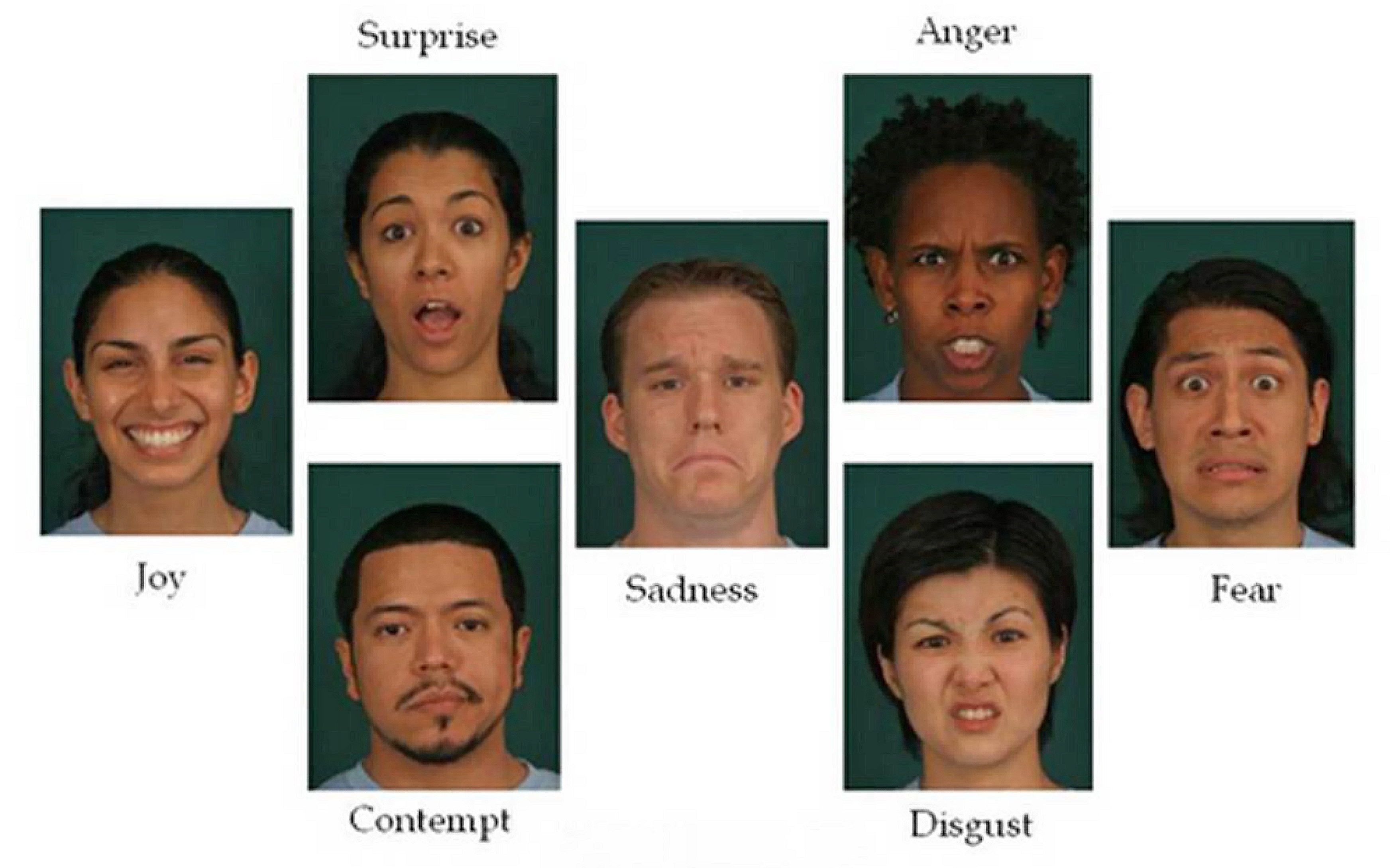 7 types of microfacials according to Paul Ekman (����������� ����������� �� ����)