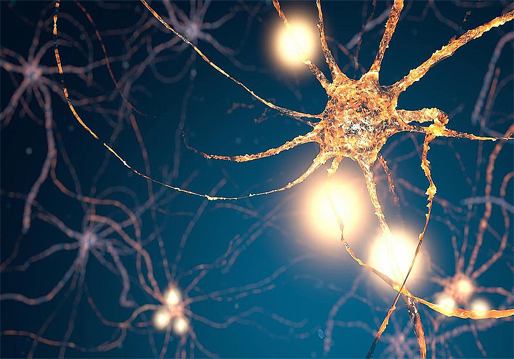 ������� ������