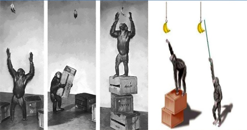 ����� ����������������� ���������� ����� (Wolfgang Kohler) � ����������