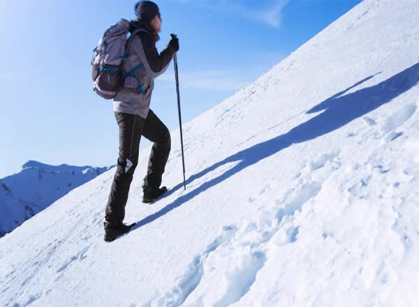 ����� �� ���� � �������