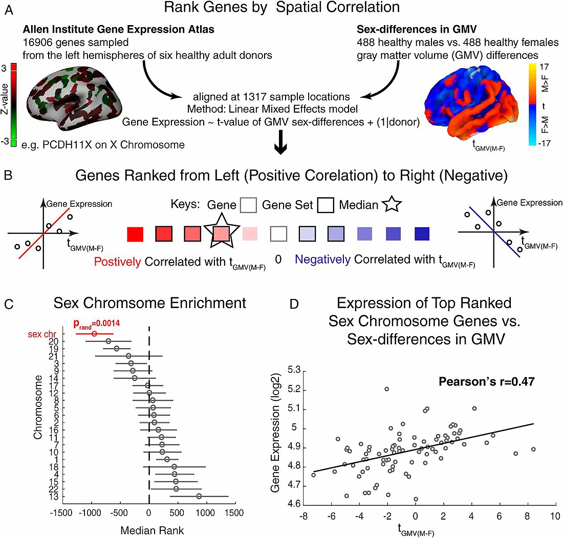 ���������� ����� ������� ��������