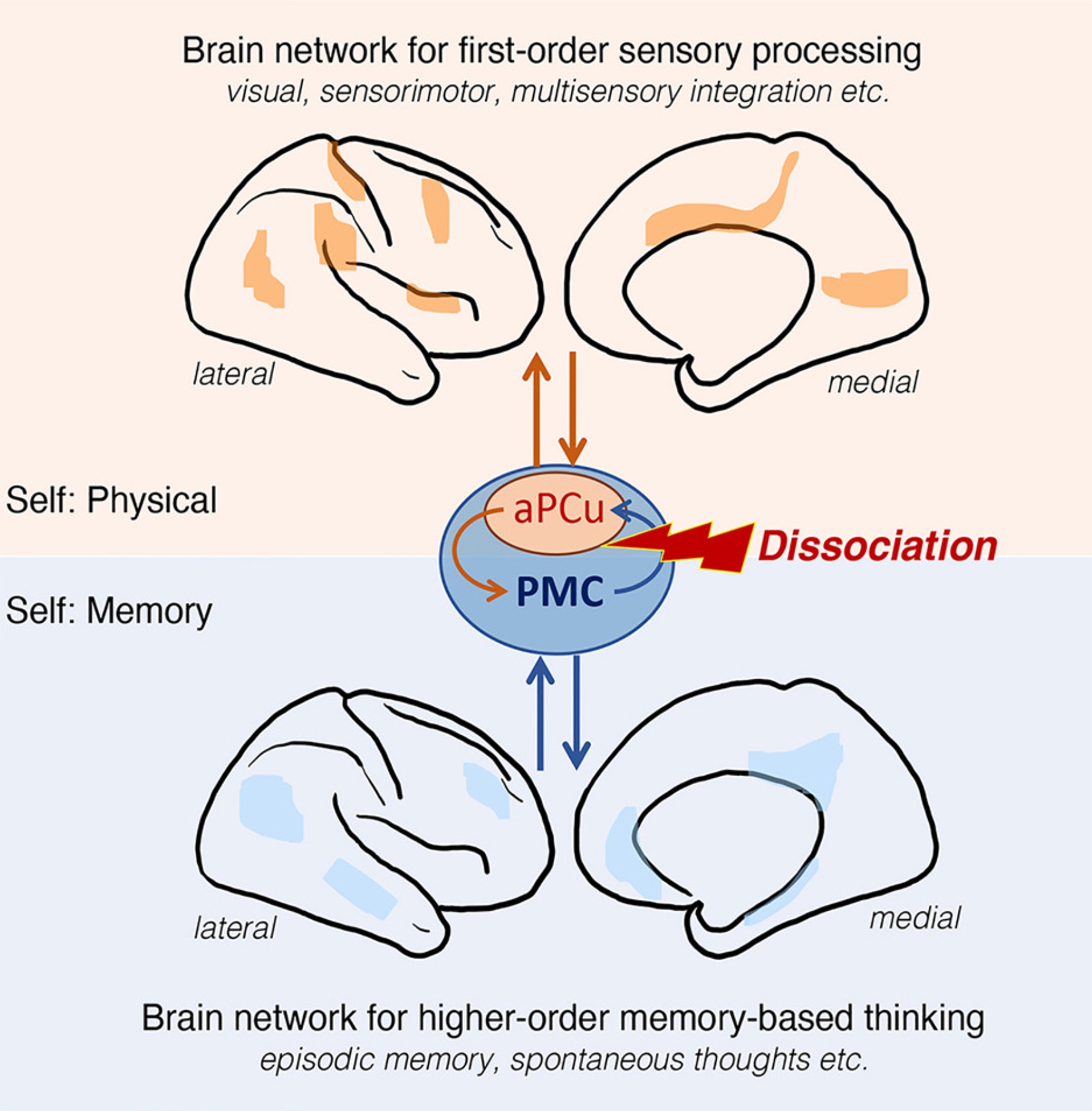 Как мозг формирует чувство «Я» и ощущение самости (self)