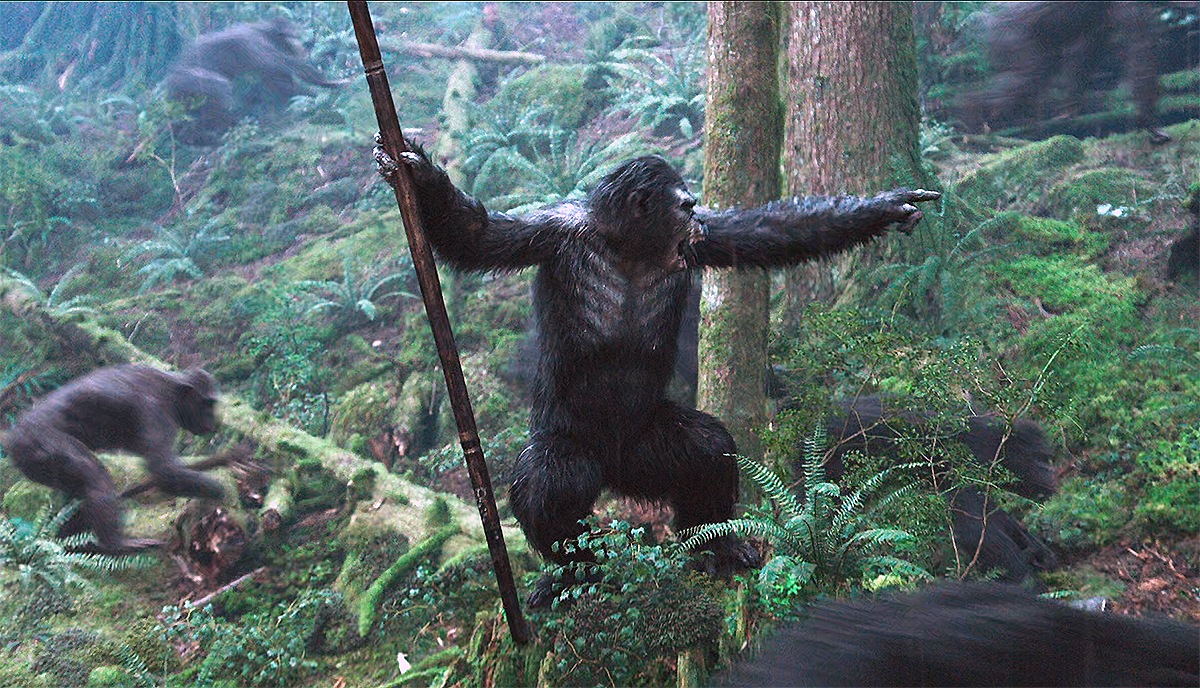 �������� ������� ���� �����