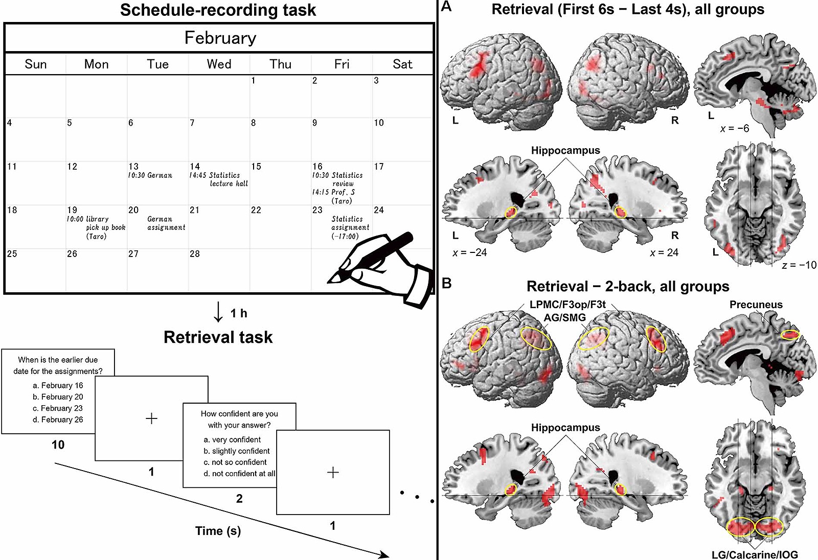 ������������ �����������