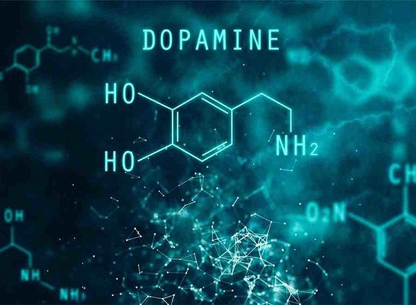 ������������� �������