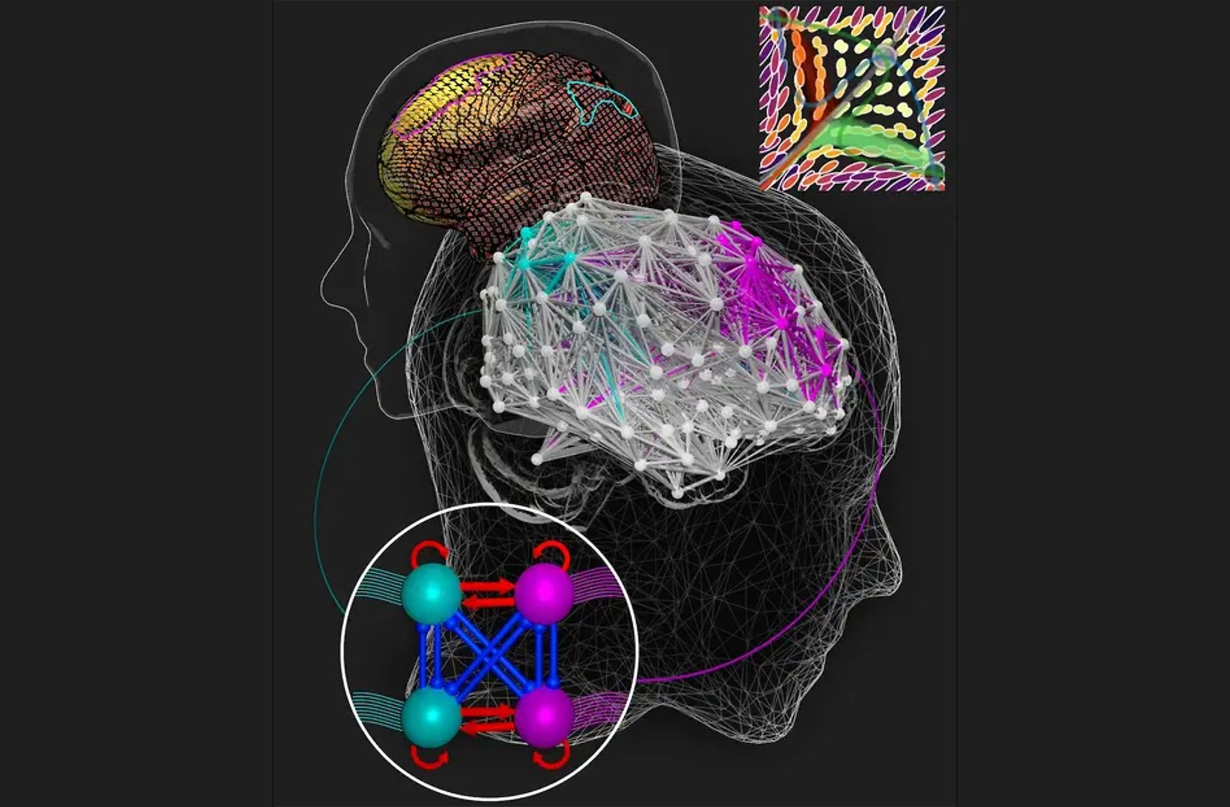 ������� ����: ����� ���������� �� ��������� ��������